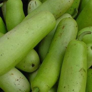 benefits of lauki ka juice