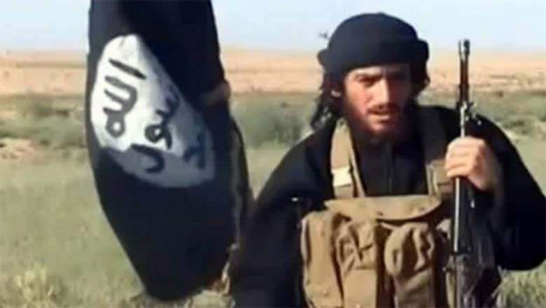 ISIS says spokesman Adnani killed in Syria's Aleppo