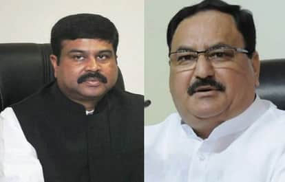 Lok Sabha Election: Amit Shah may be Minister, JP Nadda or dharmendra pradhan may be BJP President