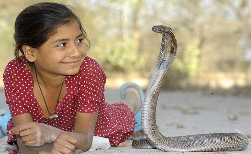  Incredible Indian Snake Girl has Friendship with snakes