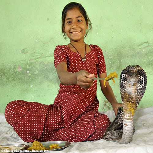  Incredible Indian Snake Girl has Friendship with snakes
