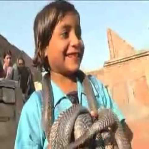  Incredible Indian Snake Girl has Friendship with snakes