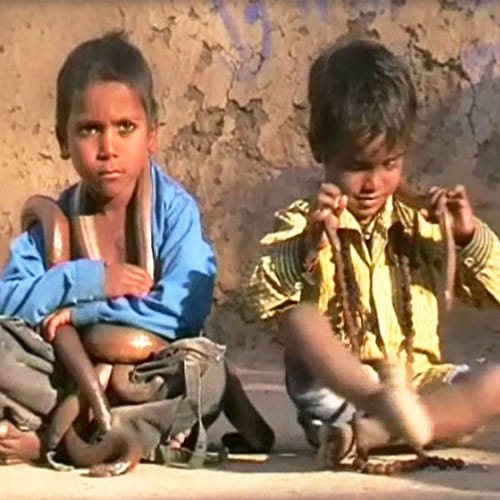  Incredible Indian Snake Girl has Friendship with snakes
