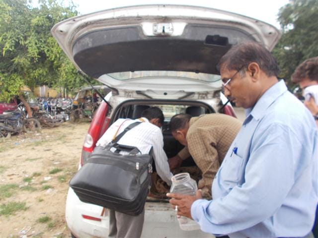 Swift meat recovered from the two Bora