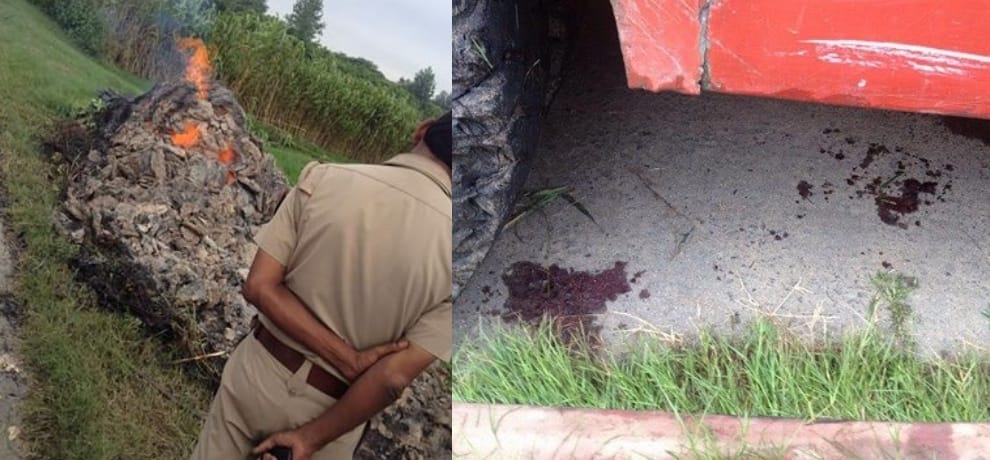greno: a dead body find burning in dark night, police silent on the case, was it man or animal