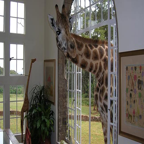 Giraffe walks into a bar