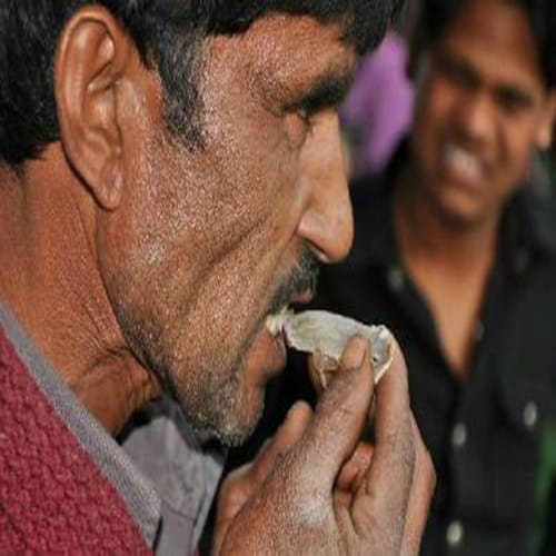 men eats lizard from madhyapradesh