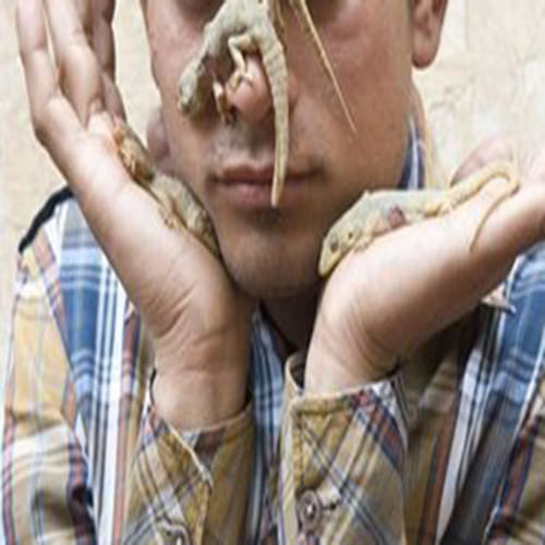 men eats lizard from madhyapradesh