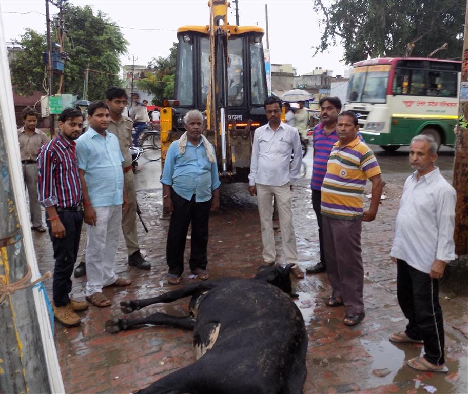 Salempur power crisis in 50 villages
