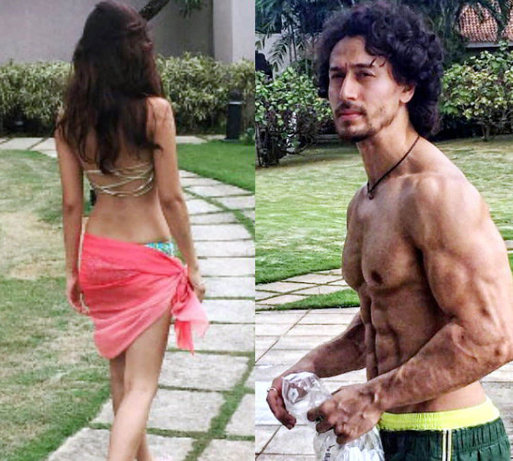 disha patani and tiger shroff love story revealed