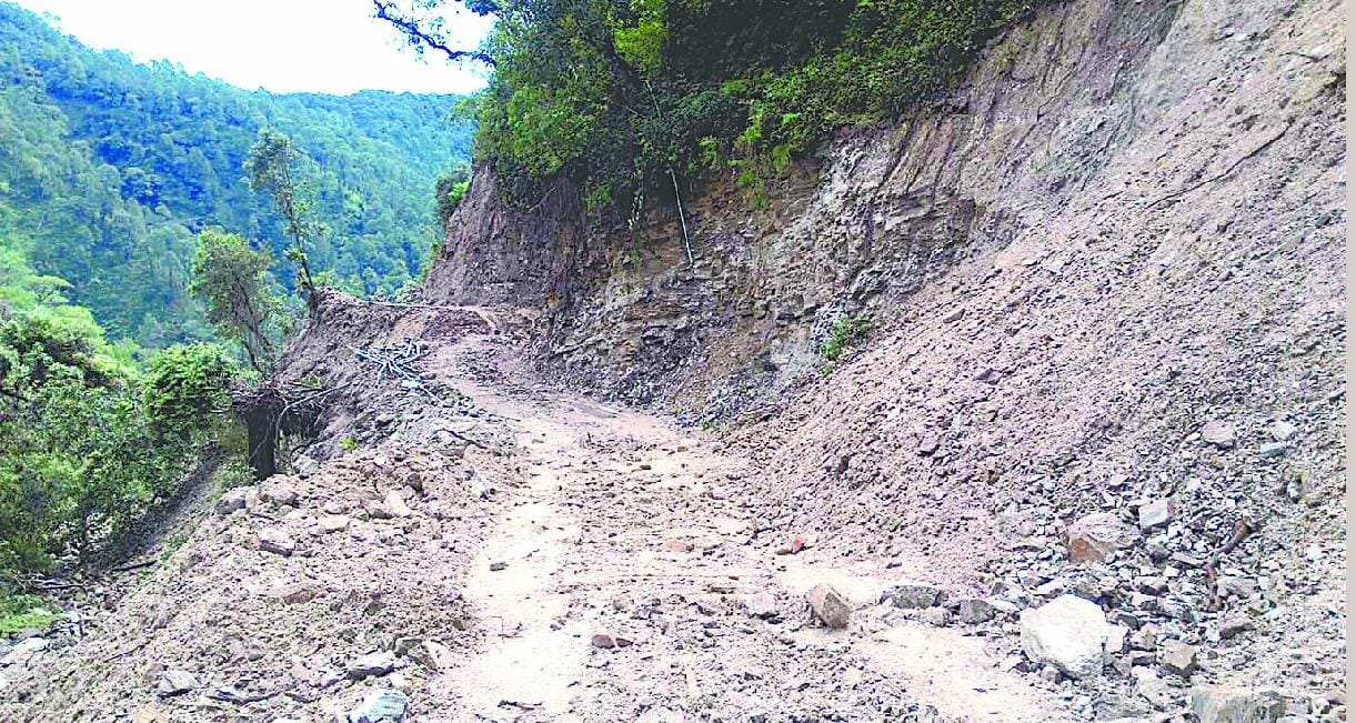 Cutting measure land without permission