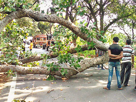 Trees fell on the highway, a two-hour jam