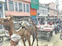 jind, harayana, road side, vicale, creats jaam, shopkeepers unhappy,  harayana