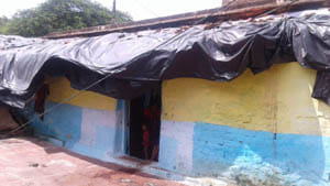 Scavengers impoverished housing
