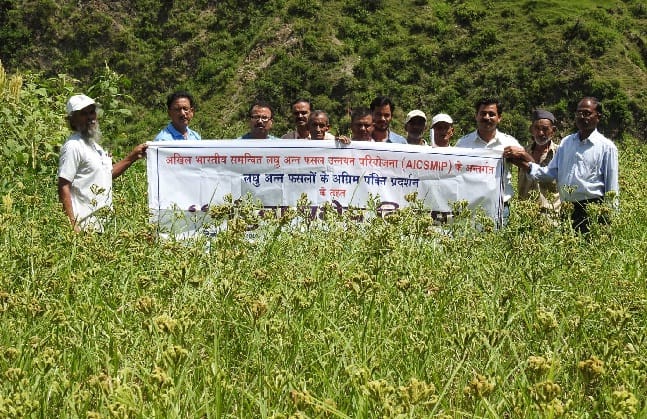 Tips to farmers farming