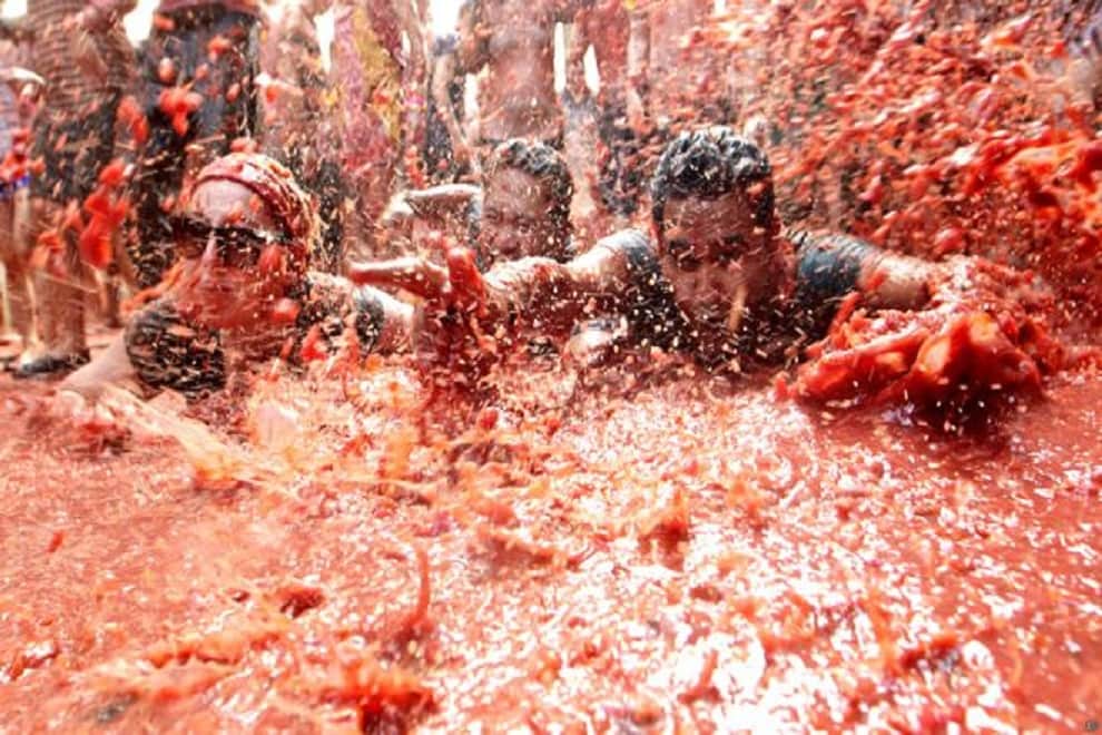 tomatina tomato fight