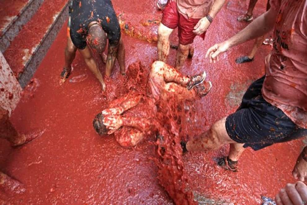 tomatina tomato fight