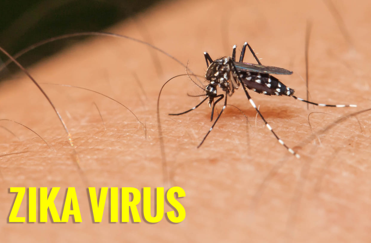 billions of people in Asia and Africa could be at risk of Zika infection