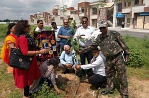 Lions Club planted 550 saplings