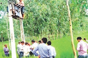 lineman died from current in city