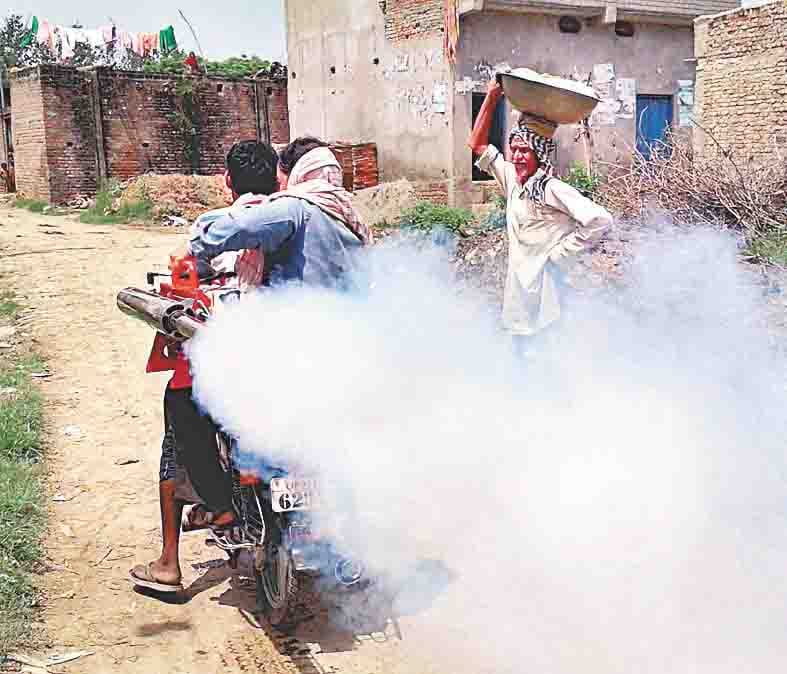two died due to fever