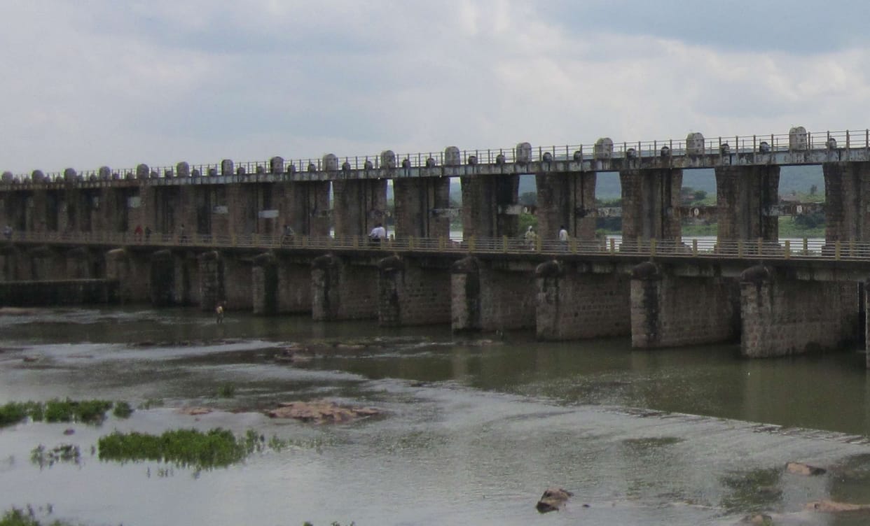 Ahraura dam face of unabridged farmers bloom
