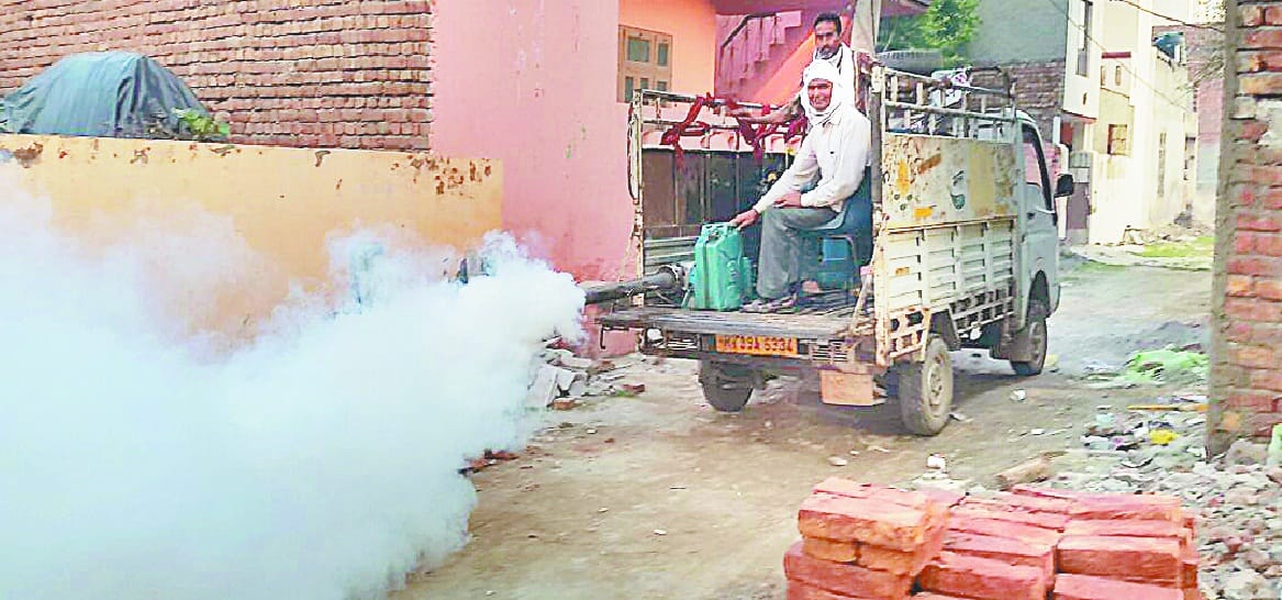 Dengu suspected hisar, shiv colony hisar, Hisar