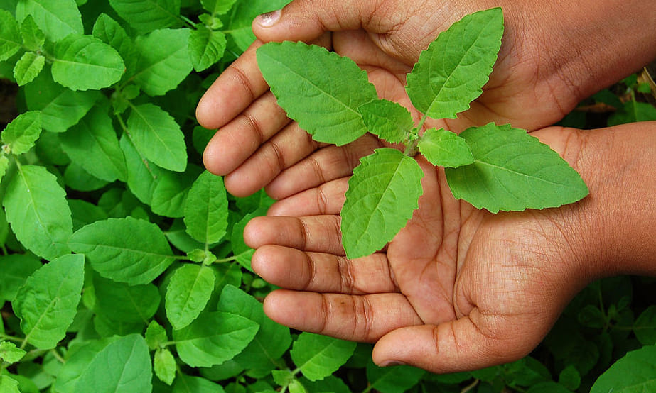home remedies for wrinkles and spots