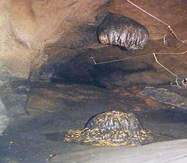 lord ganesha cut head found in this cave