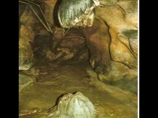 lord ganesha cut head found in this cave