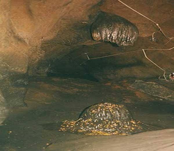 lord ganesha cut head found in this cave