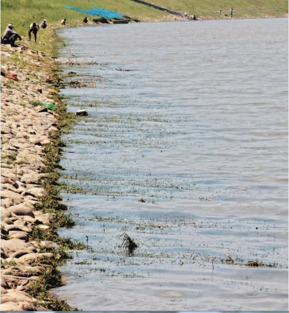  administration to save the Sukhna