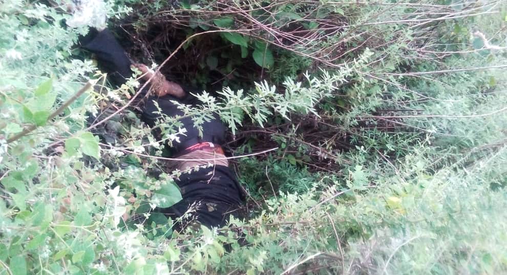 Missing JBT Teacher Dead Body recovered at kullu.