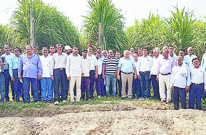  Sugarcane farmers stunned look