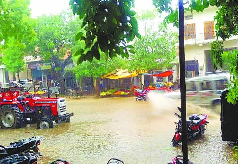 From Rain delight the farmers face