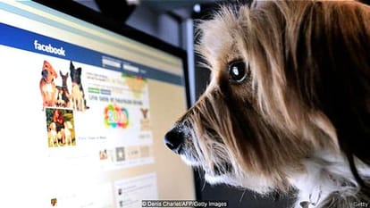 Beware while using Social Media
