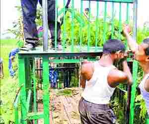 Cage for leopard 