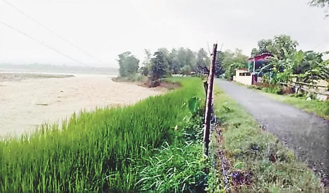 Gohar apology caused havoc in the Song river