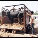 सांकेतिक तस्वीर
