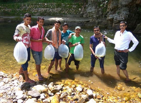 Fish seed left in Kosi