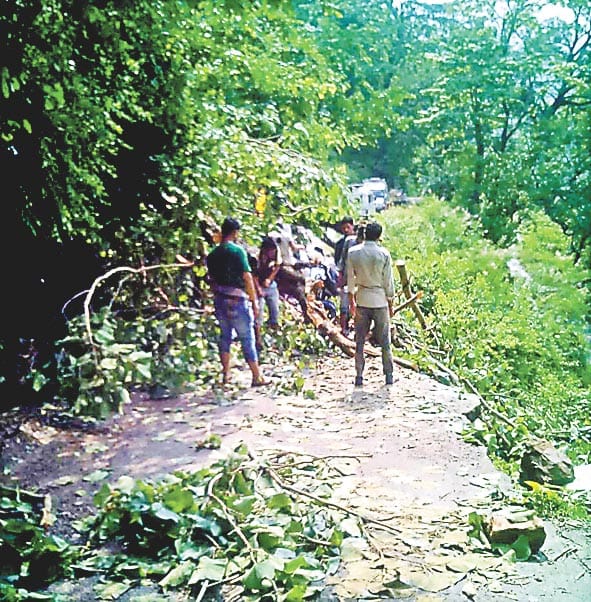 Debris and falling trees blocked the road