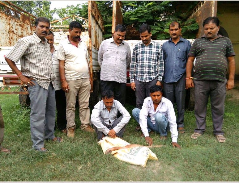 Park's team caught two mouths and two gem dealers