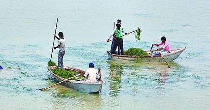 weed removing work from sukhna lake continue after punjab haryana highcourt instructions