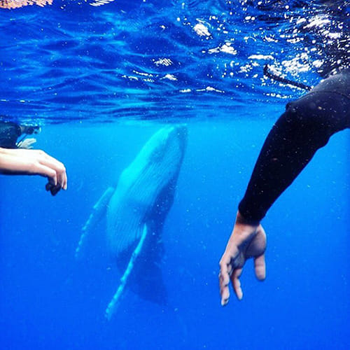 24 year old boy take a selfie with a whale 