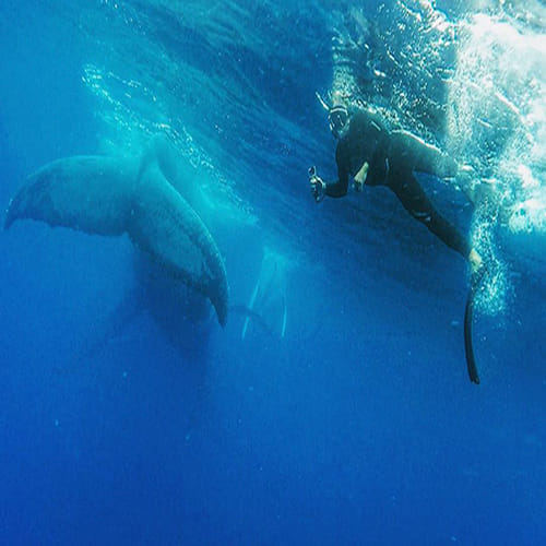24 year old boy take a selfie with a whale 