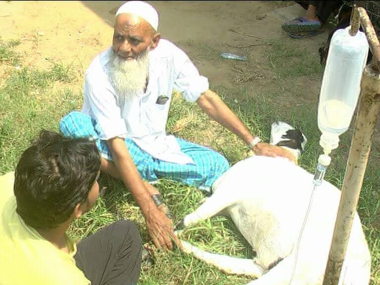 bakrid in meerut