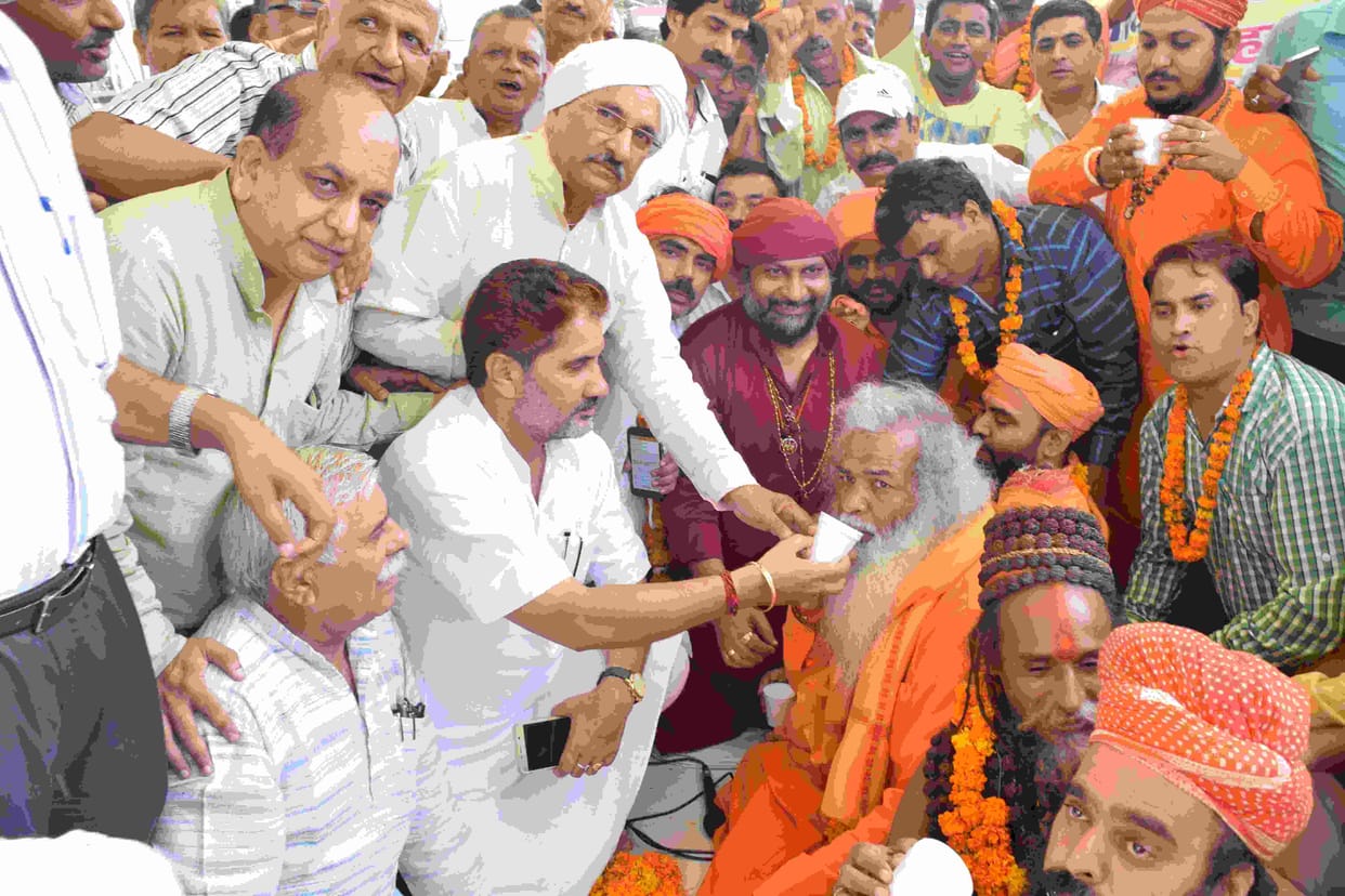  cattle up, saints of the city, government's assurance, fast break fast, fast break, rohtak, haryana