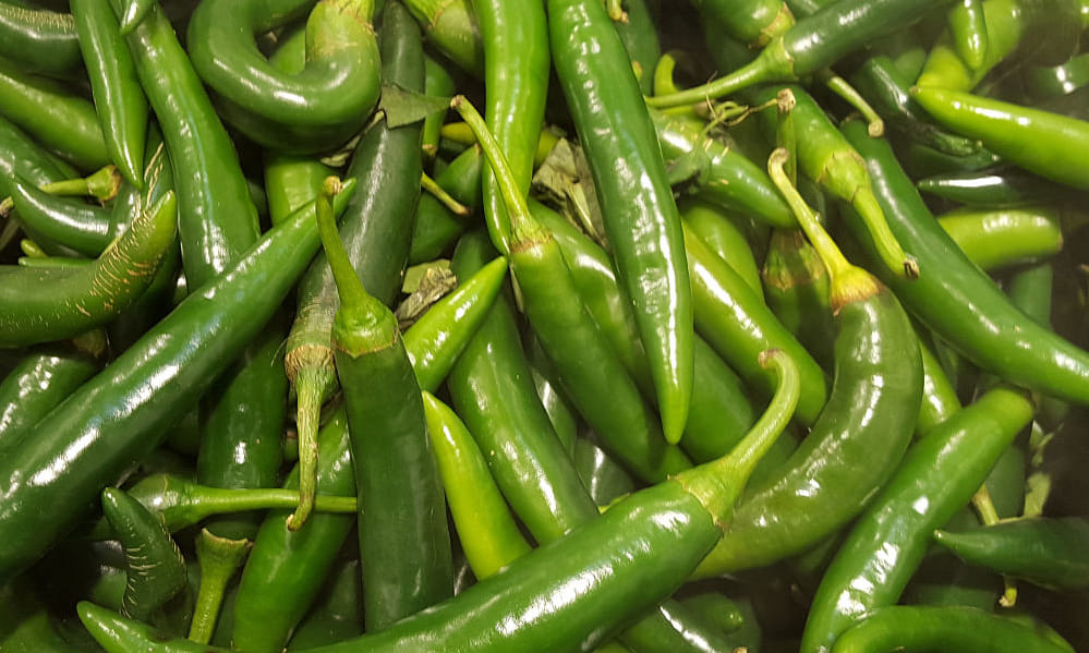 ginger and chilli can fight cancer
