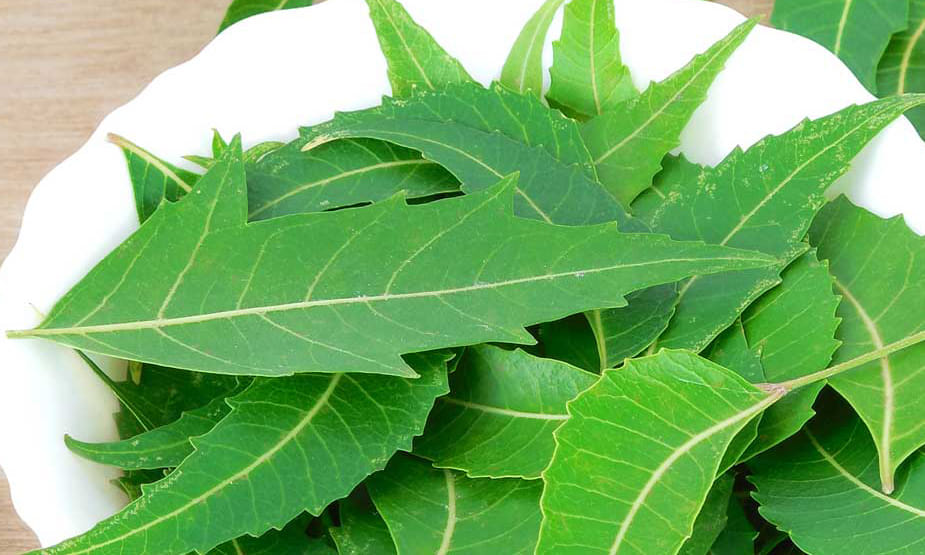 tips to treat chickengunia