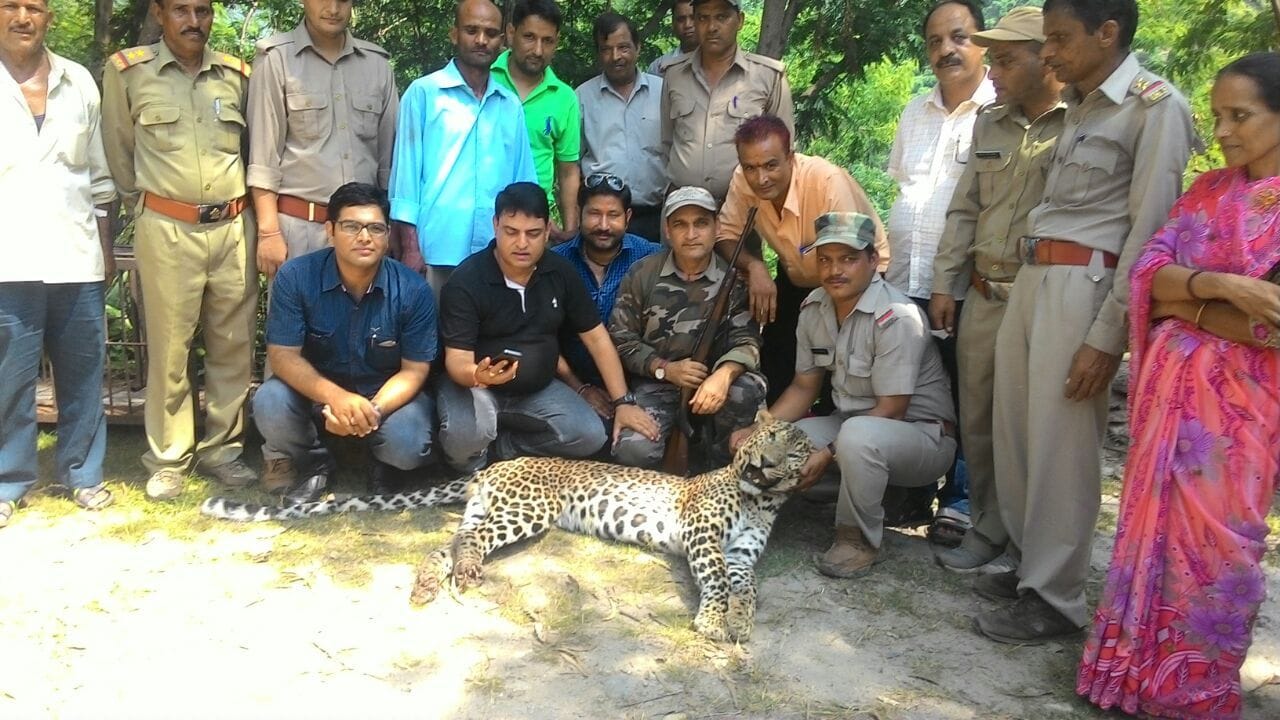 man eater leopard killed by hunter in devprayag.